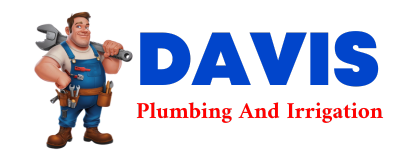 Trusted plumber in LANDO